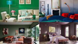 Best Paint for Living Room 2025