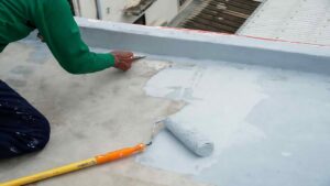 Best Waterproof Paint for Terrace
